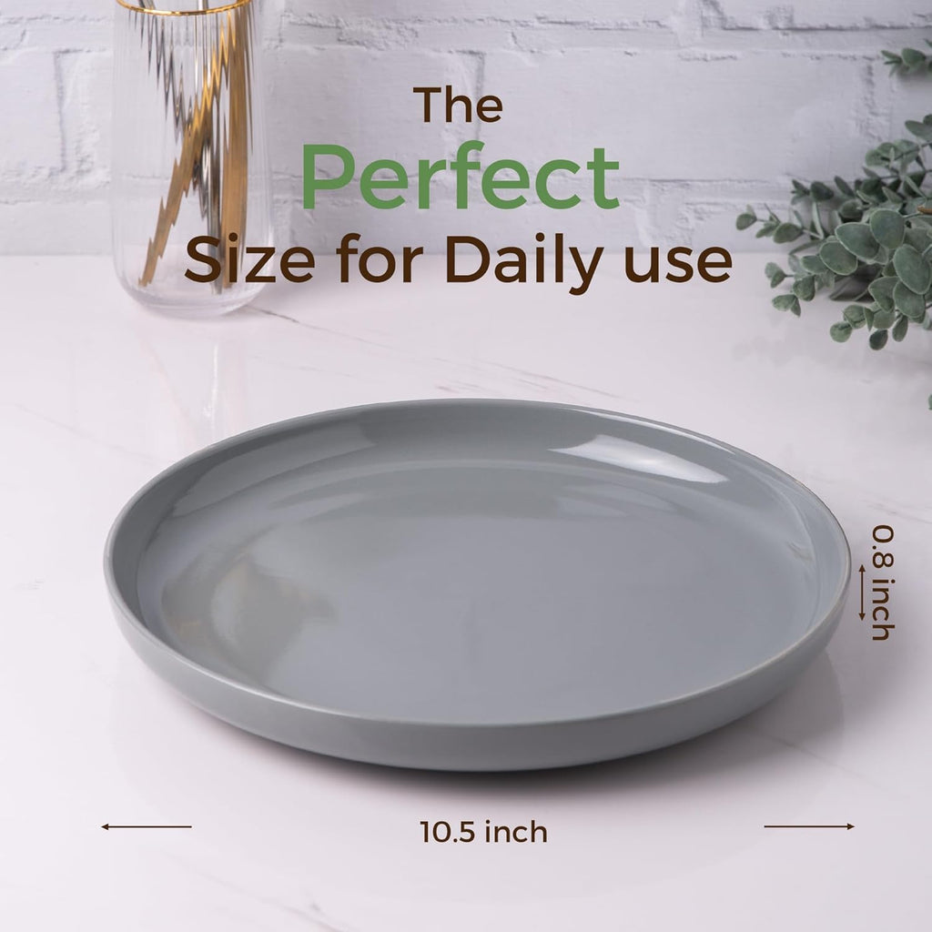 Ceramic Dinner Plates Set of 6,10.5 inch Large Stoneware plates for Kitchen,Dinnerware Dishes set- Microwave,Dishwasher Safe,Scratch Resistant-GREY