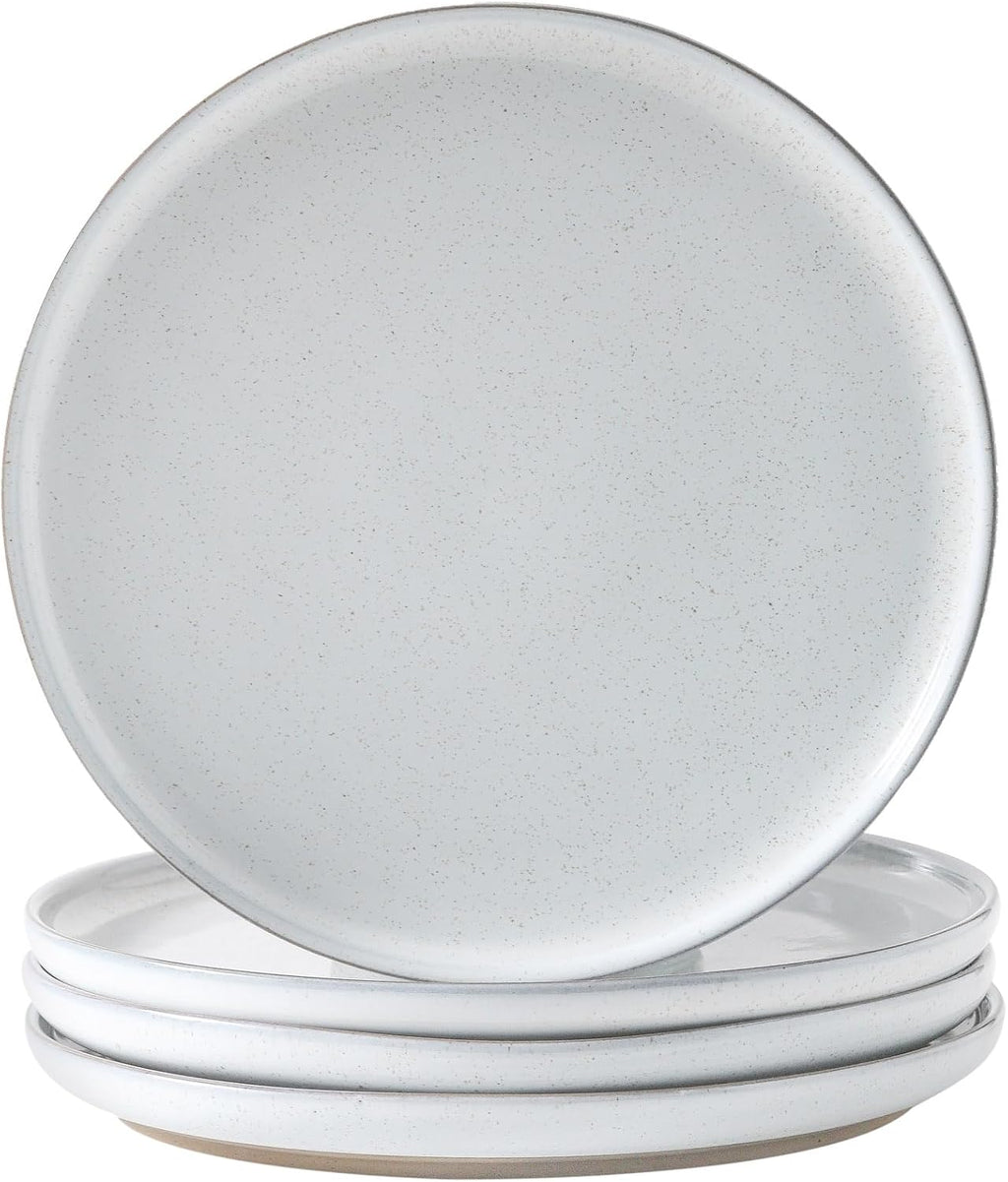 Ceramic Dinner Plates Set of 4,Stoneware 10 Inch,Microwave,Dishwasher and Oven Safe,Porcelain Dessert Plates for Pasta,Salad and Steak,Dishes Set for Kitchen,Scratch Resistant,White