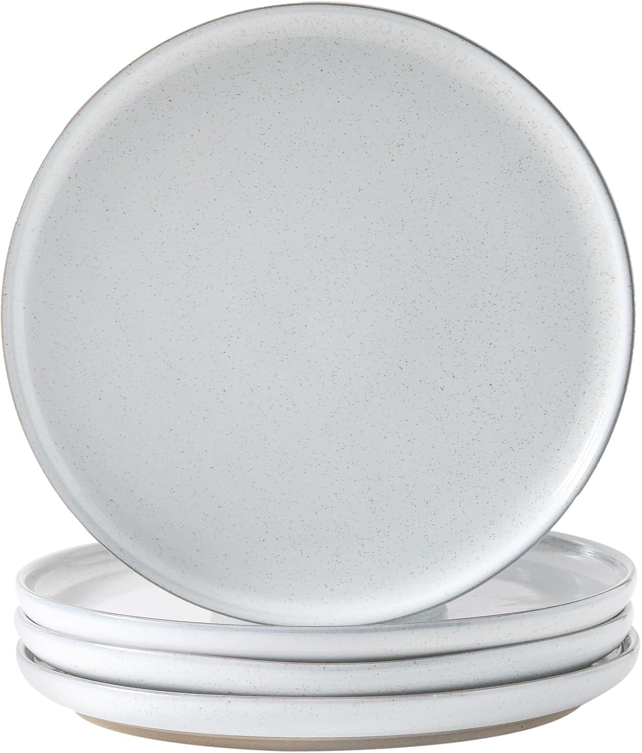 Ceramic Dinner Plates Set of 4,Stoneware 10 Inch,Microwave,Dishwasher and Oven Safe,Porcelain Dessert Plates for Pasta,Salad and Steak,Dishes Set for Kitchen,Scratch Resistant,White